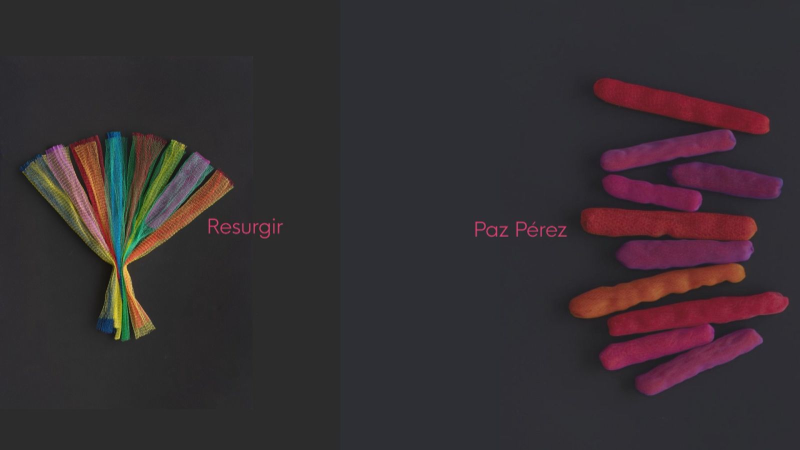 Exposición "Resurgir" - Ver ahora