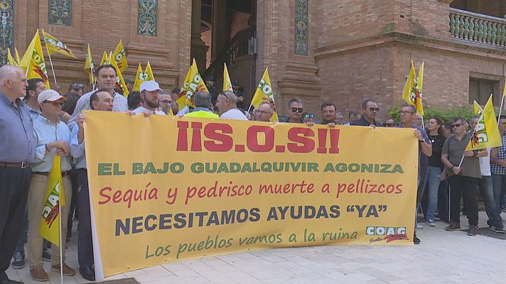 Noticias Andalucía - Agricultores en crisis