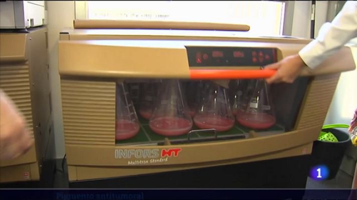 L'informatiu - Comunitat Valenciana - L'Informatiu de la Comunitat Valenciana 2 - 31/05/23