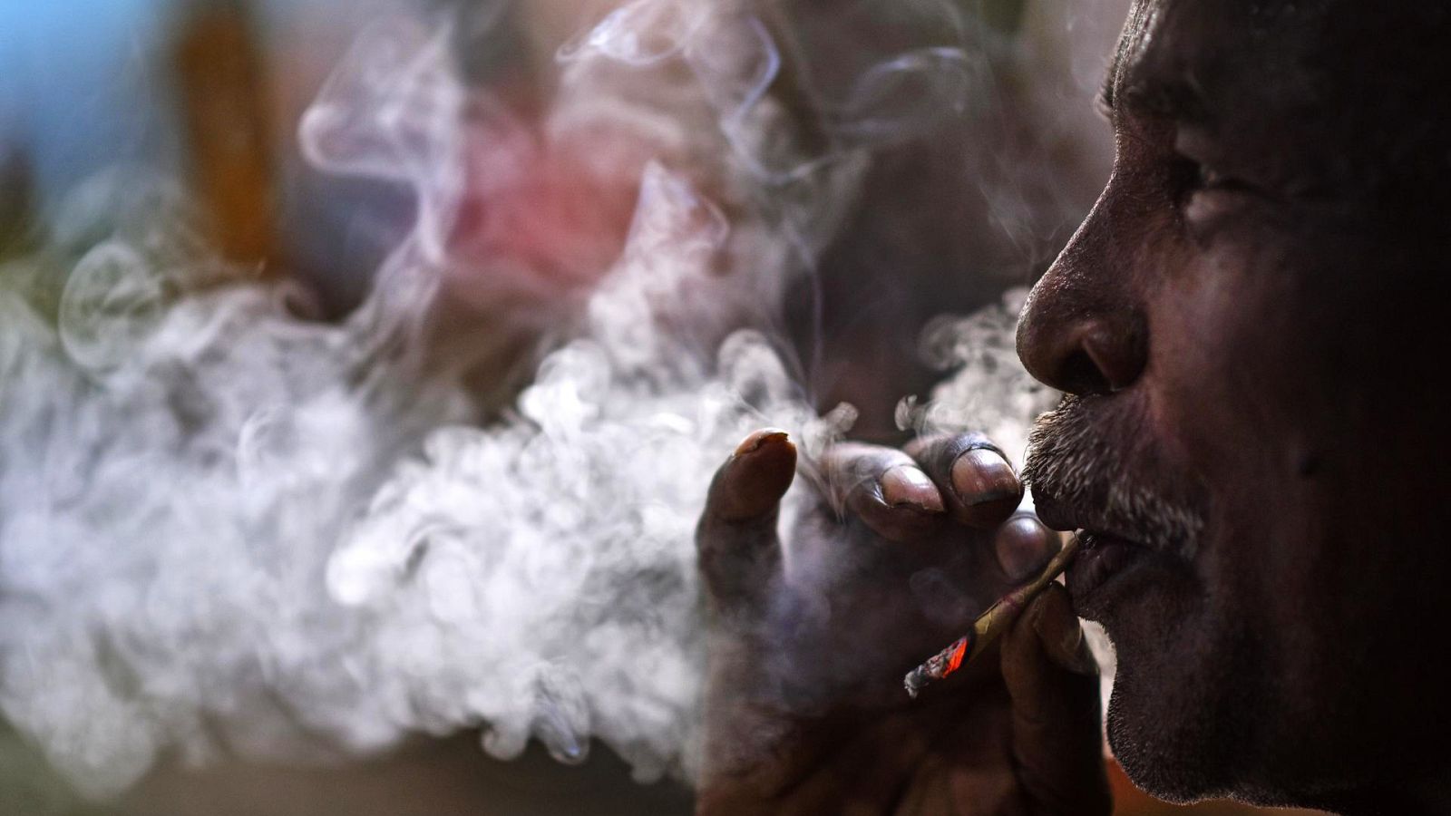 L'OMS demana als governs que deixen de subvencionar el cultiu de la planta de tabac