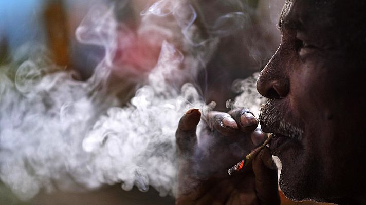 L'informatiu - Comunitat Valenciana - L'OMS demana als governs que deixen de subvencionar el cultiu de la planta de tabac