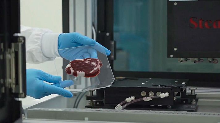 El escarabajo verde - Muslo o pechuga, avance