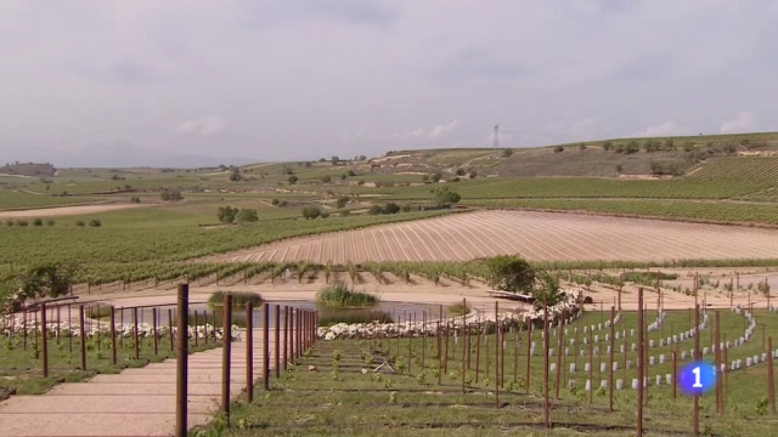 Informativo Telerioja  - 01/06/23 - Ver ahora