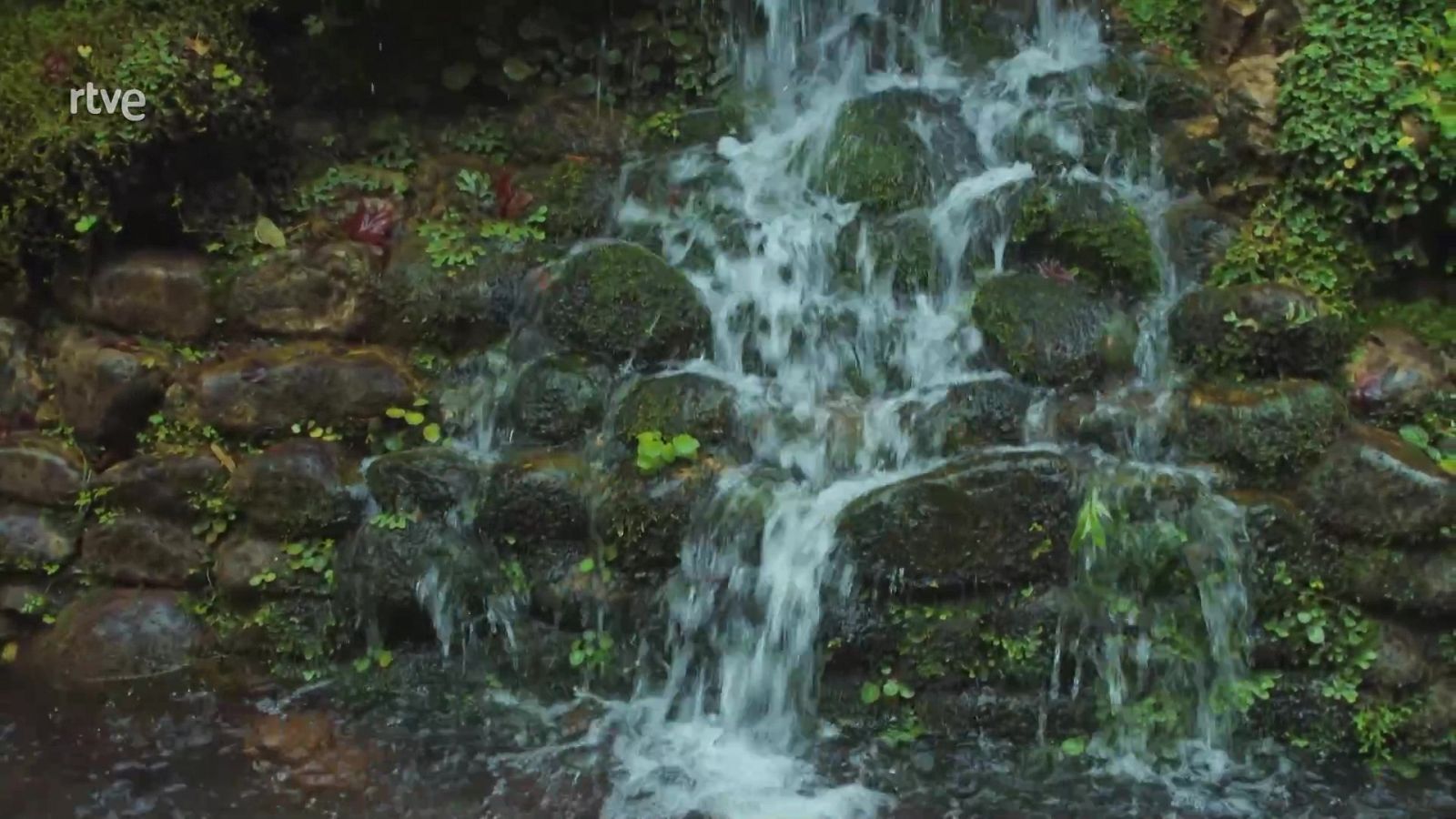 Jardines con historia - Gijón, jardín de La Isla - ver ahora