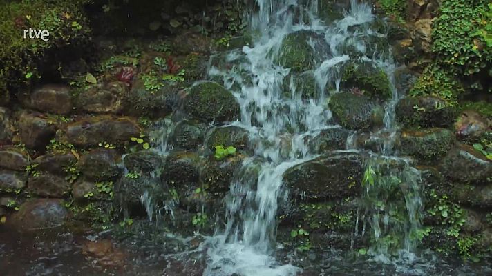 Jardines con historia - Gijón, jardín de La Isla