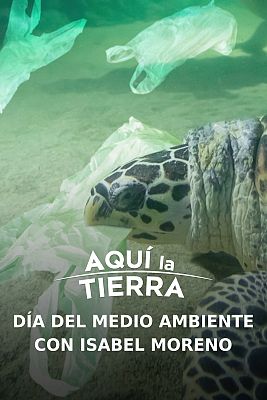 Aquí la Tierra - El plástico, contaminando tierra, aire, mar y cuerpos humano