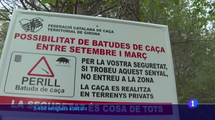 L'Informatiu - Balanç de la primera emergència cinegètica declarada a Catalunya