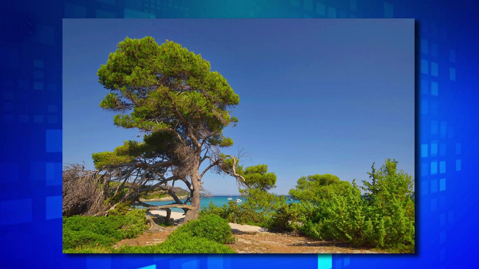 Saber y ganar - 06/06/23 - ver ahora