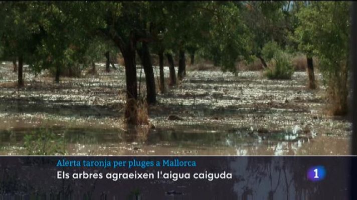 Informatiu Balear - Alerta taronja per pluges a Mallorca
