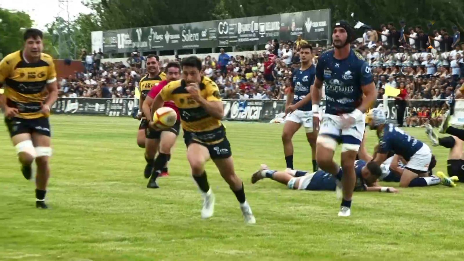 Rugby - Liga Nacional División de Honor Final: Vrac Quesos Entrepinares - Recoletas Burgos Univ. - ver ahora