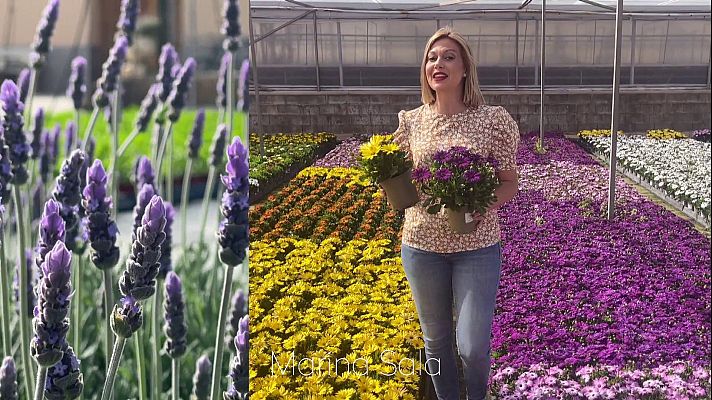  - Marina Sala - cuidemos la naturaleza