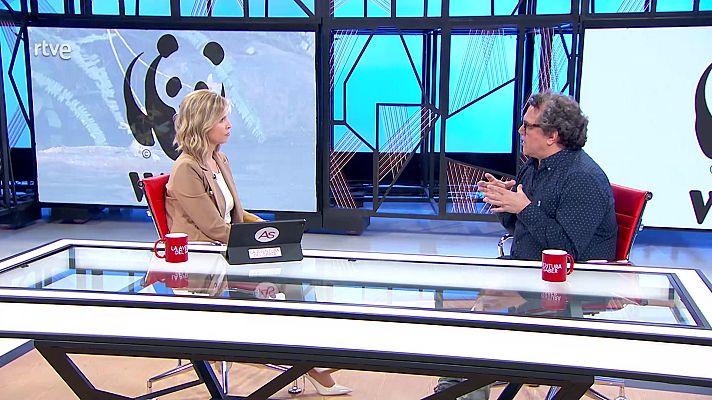 La aventura del Saber - La aventura del saber - 05/06/23