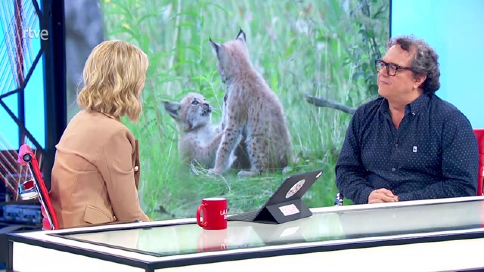 Enrique Segovia. Día Mundial del Medio Ambiente