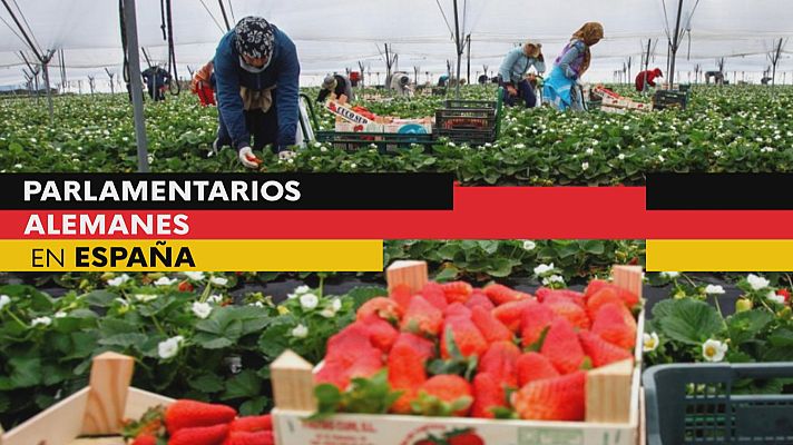 Noticias Andalucía - Visita parlamentarios alemanes