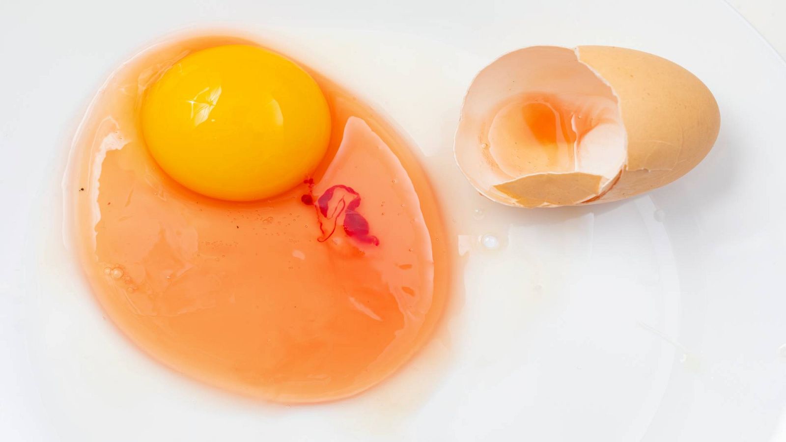 Cómo prevenir las toxinfecciones alimentarias