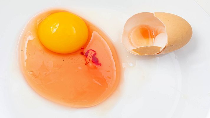 Saber vivir - Cómo prevenir las toxinfecciones alimentarias