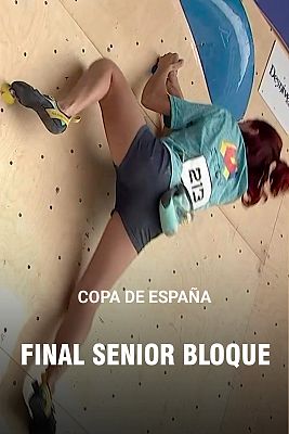 Escalada deportiva - Copa de España. Final Senior bloque