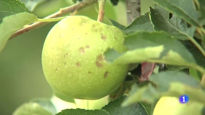 L'Informatiu - L'Informatiu - 06/06/2023