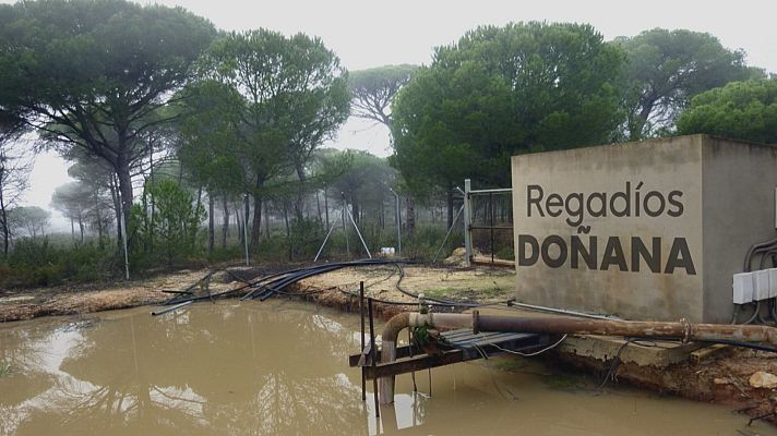 Noticias Andalucía - Se amplía la lista de comparecientes