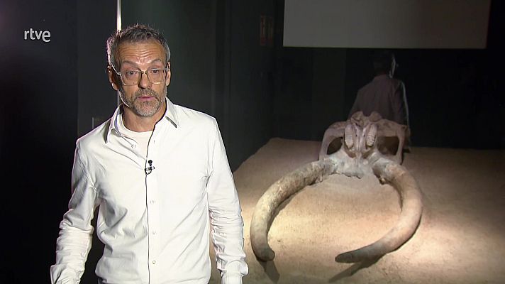 La aventura del Saber - La aventura del saber - 07/06/23