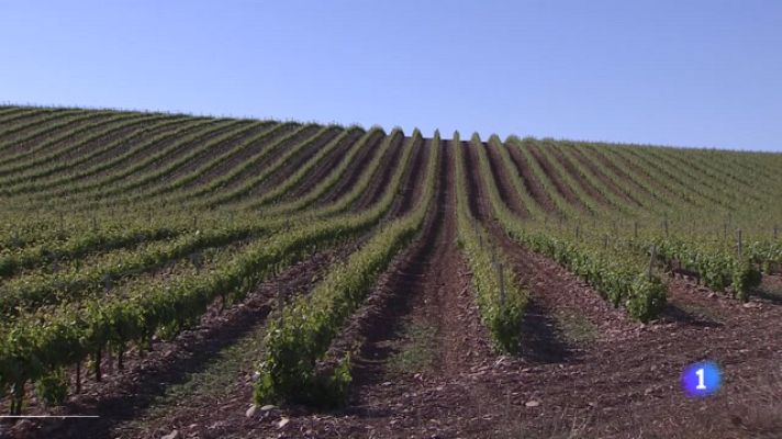 Informativo Telerioja - Informativo Telerioja  - 07/06/23