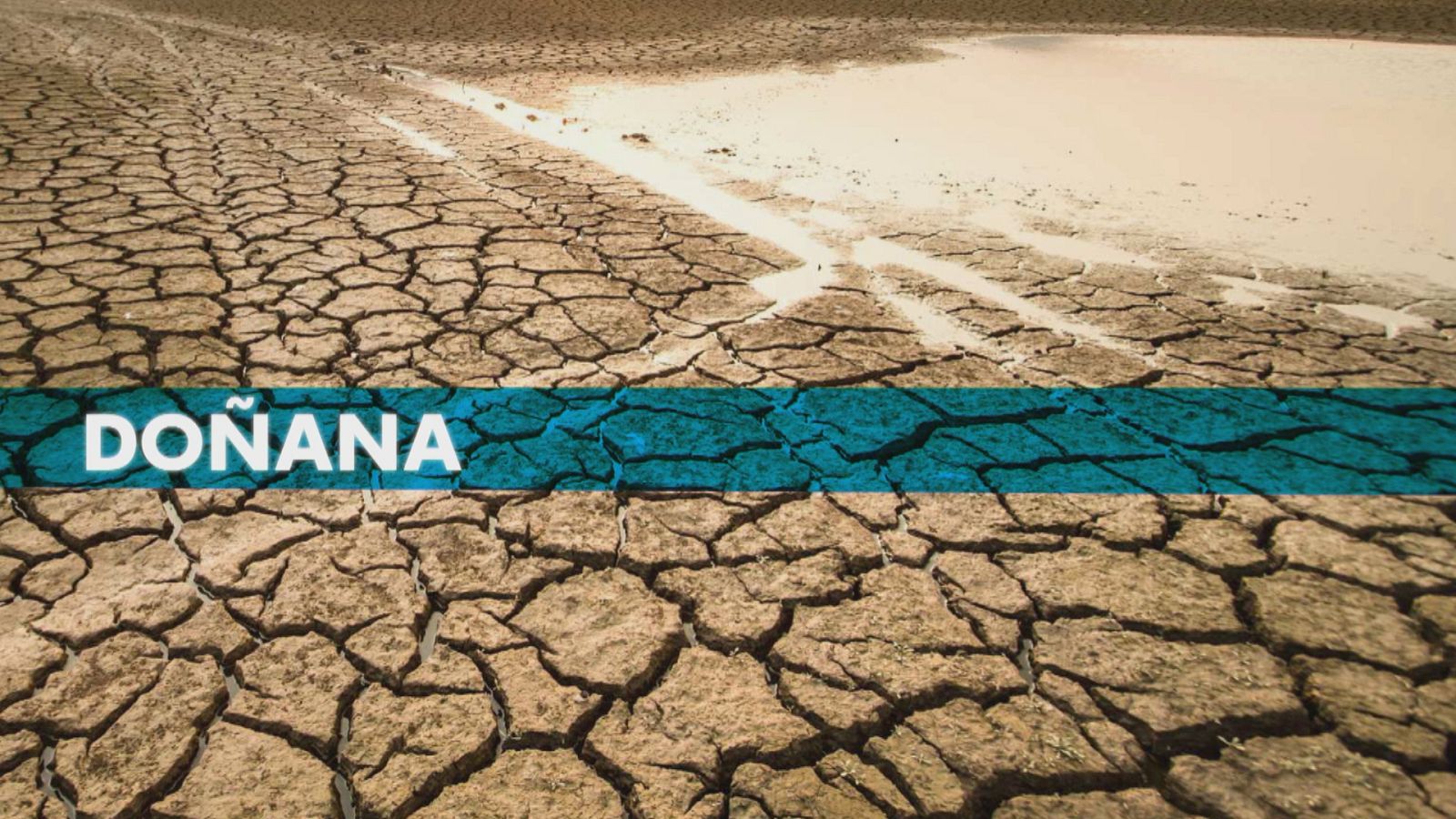 Polémica por los regadíos en Doñana - Ver ahora