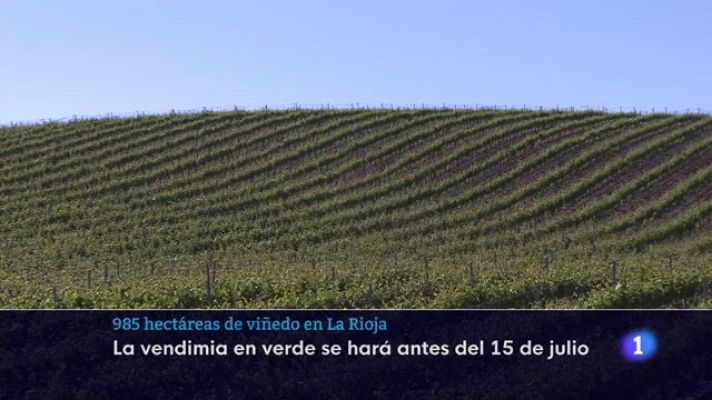 Informativo Telerioja - Informativo Telerioja 2 - 07/06/23