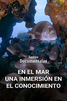 Somos Documentales - En el mar una inmersión en el conocimiento