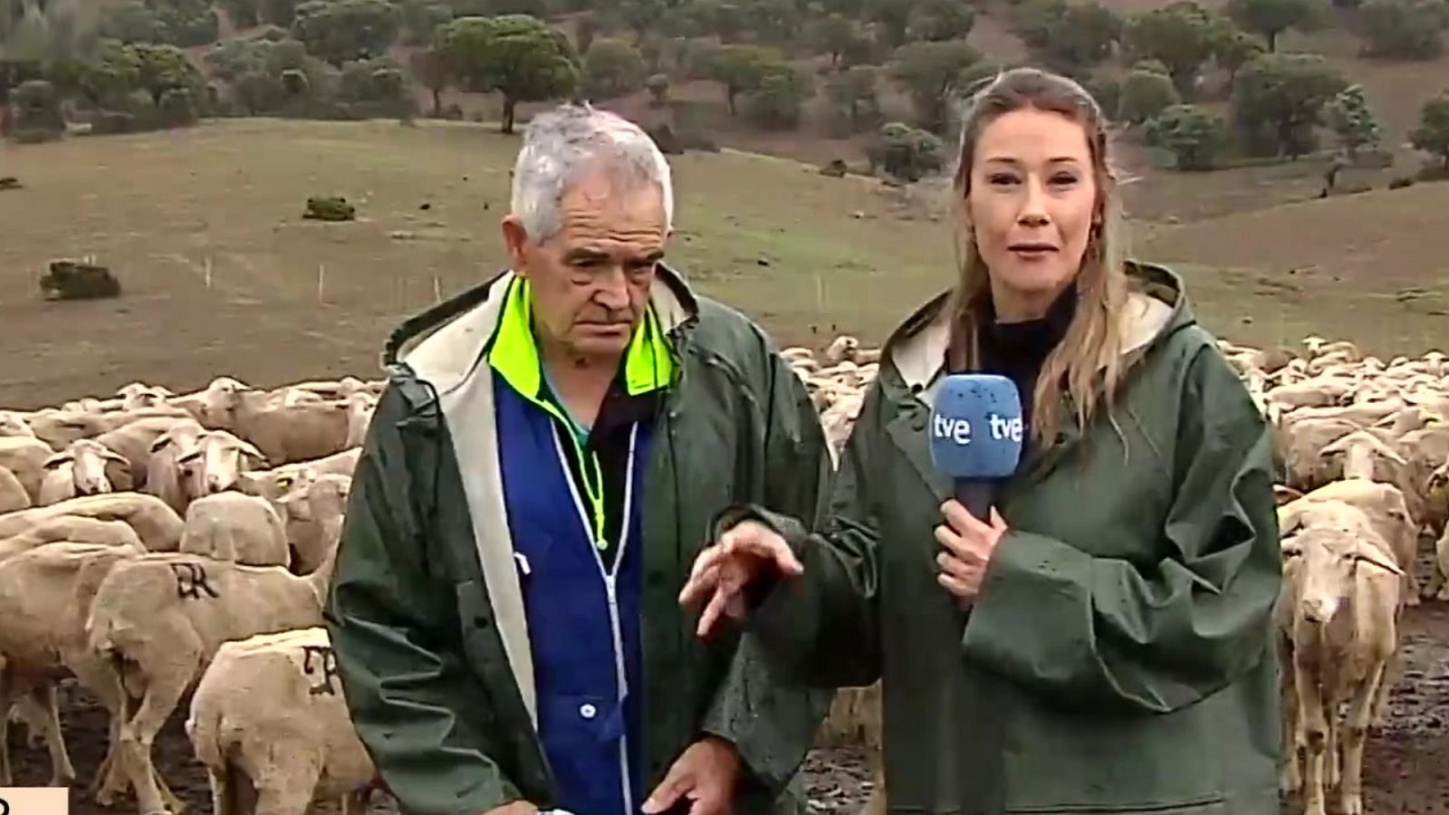 La hora de La 1 - La hora de la actualidad - 08/06/23 - ver ahora