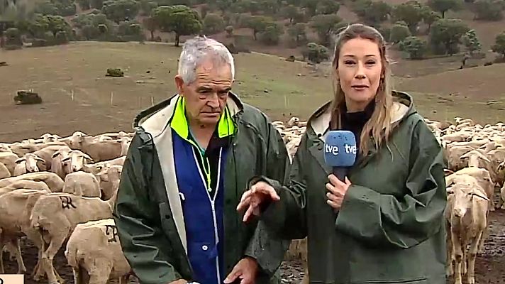 La hora de La 1 - La hora de la actualidad - 08/06/23