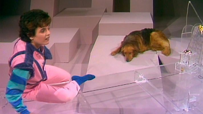 Planeta imaginari - Els animals, 1ª part