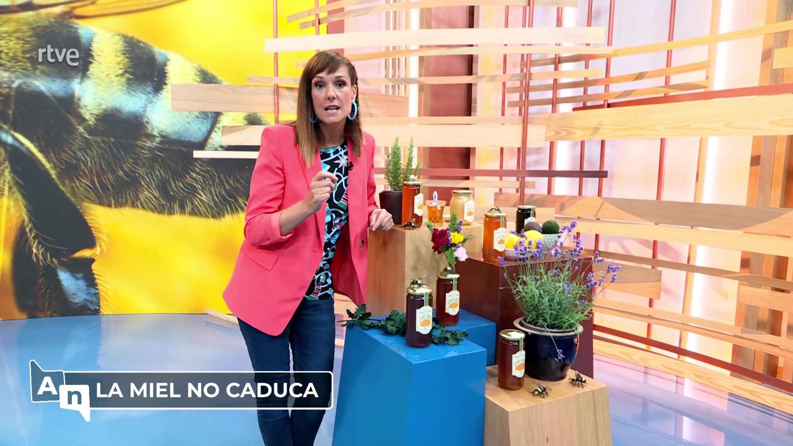 Ahora o nunca - Programa 97 - ver ahora