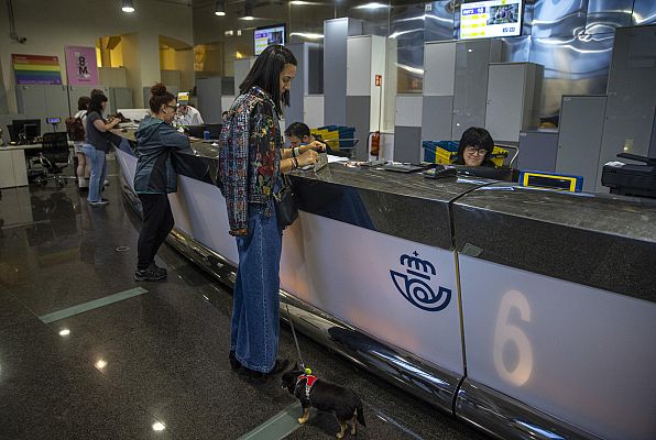 Hablando claro - VerificaRTVE da las claves para detectar los bulos del voto por correo