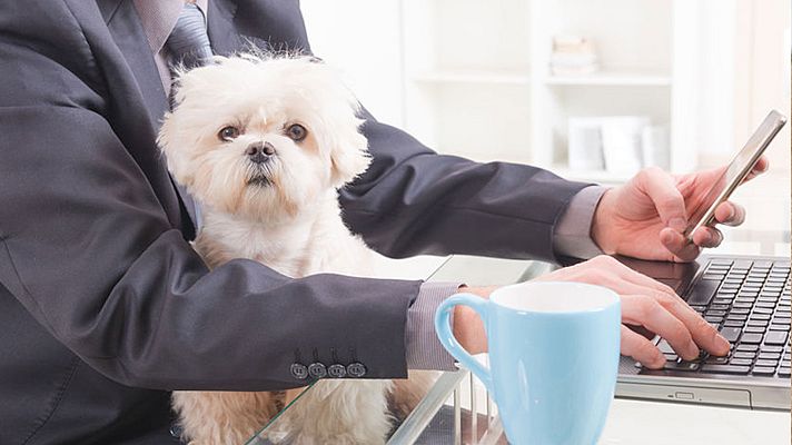 Para todos La 2 - Para todos La2 - 03/06/23 - Lengua de signos