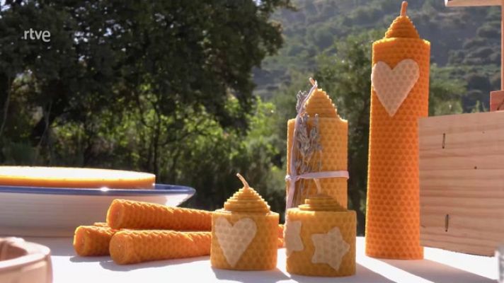 Aquí la Tierra - La vida en una colmena de abejas