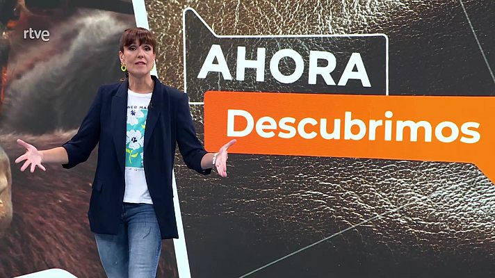 Ahora o nunca - Programa 98