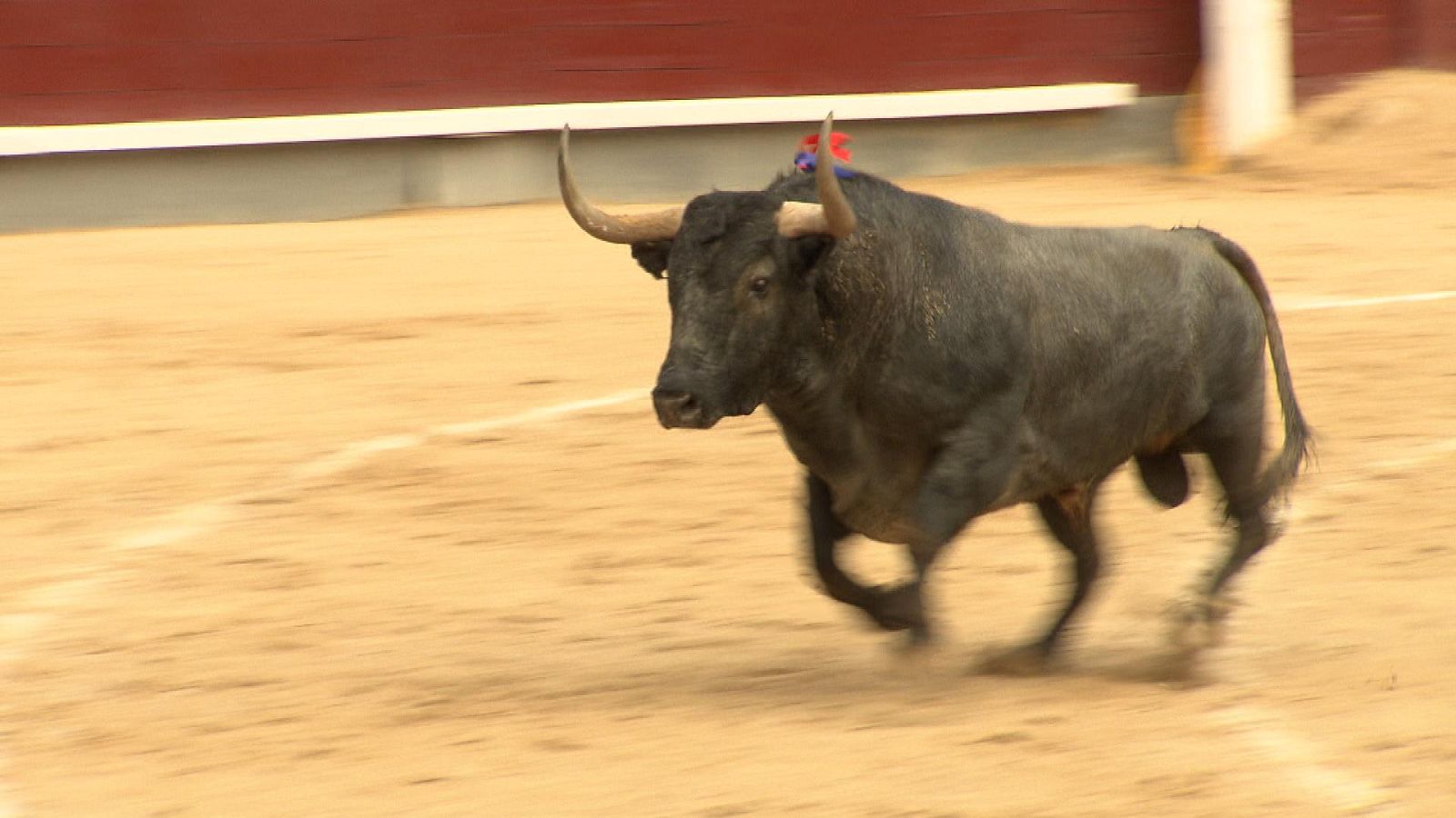 Tendido cero - 10/06/23 - ver ahora
