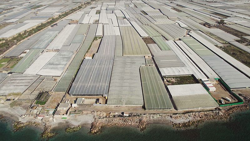 En Portada - Bajo el pl�stico - Ver ahora