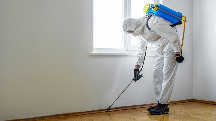 Telediario Fin de Semana - Las plagas, cada vez más frecuentes por el aumento de los episodios de calor