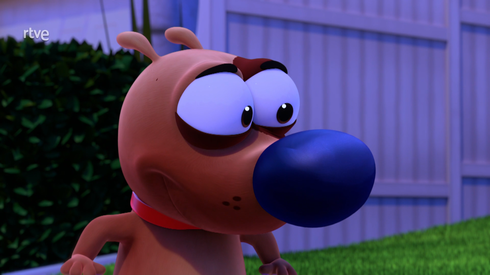 El coleccionista - Pat el perro | Ver