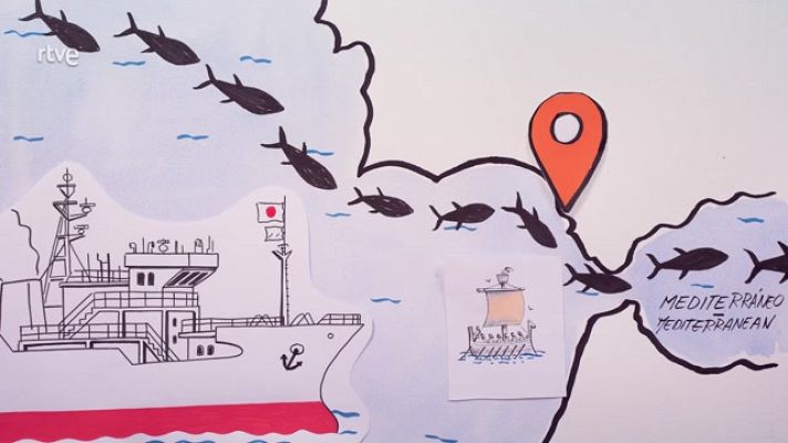 La aventura del Saber - CSIC El atún y los fenicios