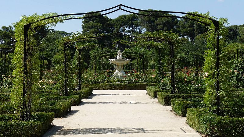 Plan de domingo: visita al Real Jardín Botánico de Madrid - Saber vivir | Ver