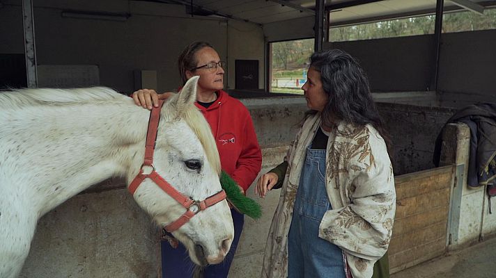 Ruralitas - Morgadáns y Camuñas