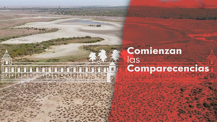 Noticias Andalucía - Comisión sobre el proyecto Doñana