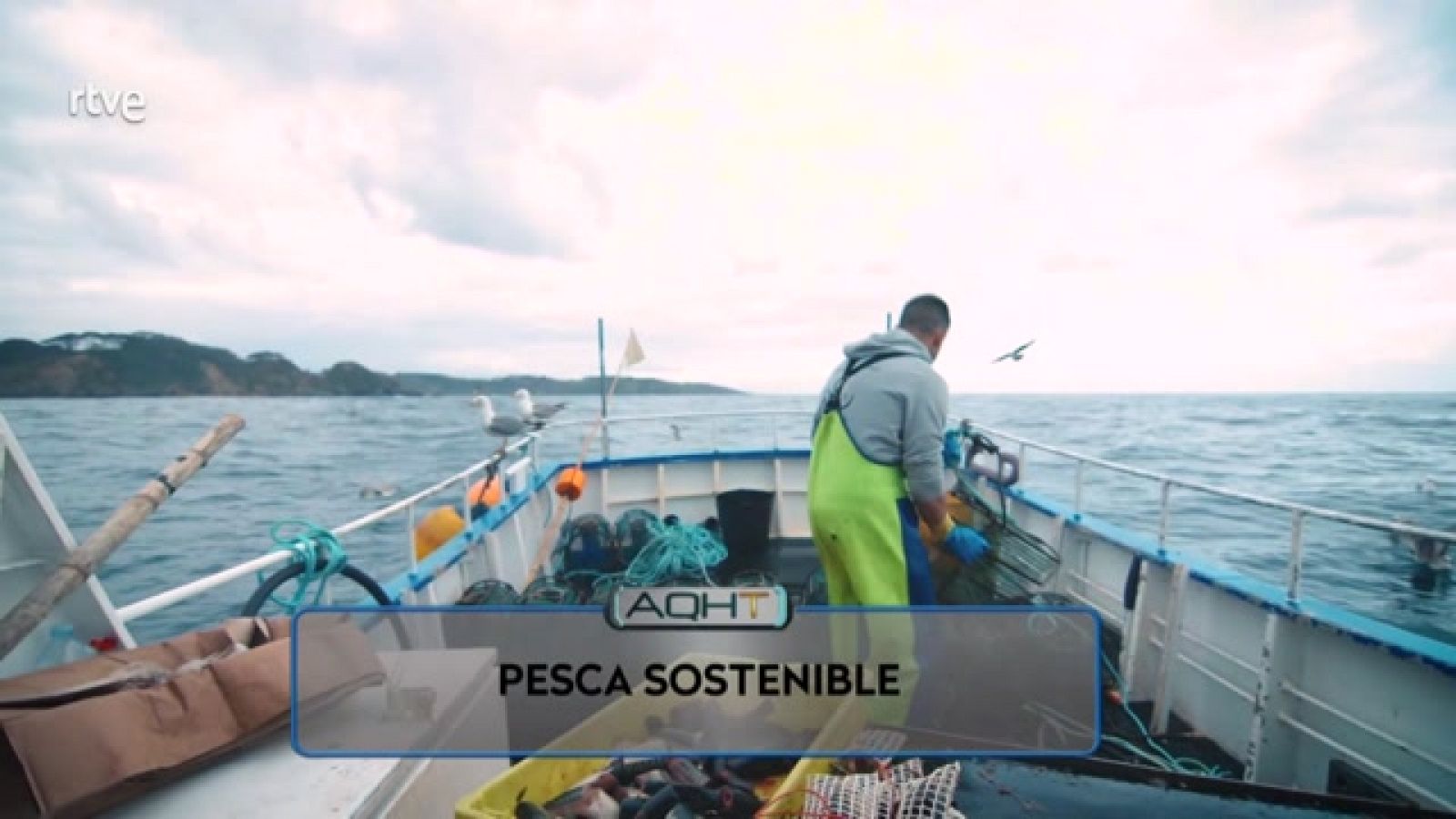 AQUÍ HAY TRABAJO - Pesca sostenible - ver ahora