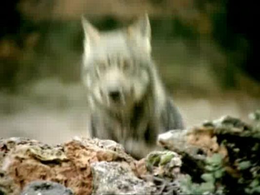 El hombre y la Tierra - Los pequeños matadores 2
