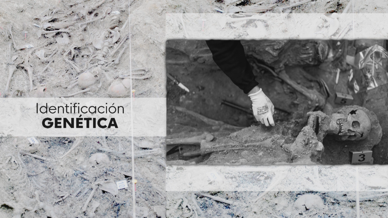 Identificando los restos de las fosas - Ver ahora