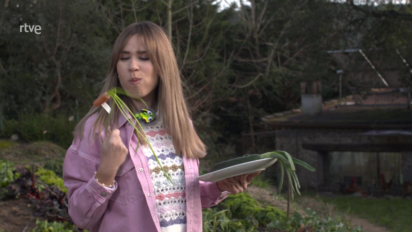 Va de Verd - El rebost pot ser un hort - Veure ara