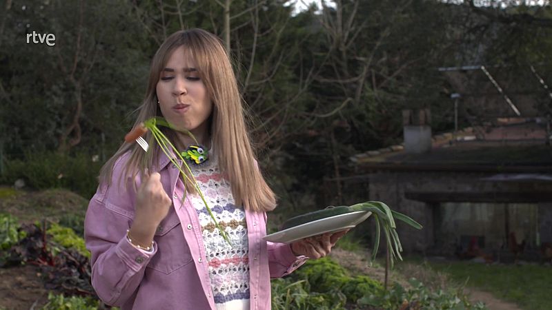 Va de Verd - El rebost pot ser un hort.