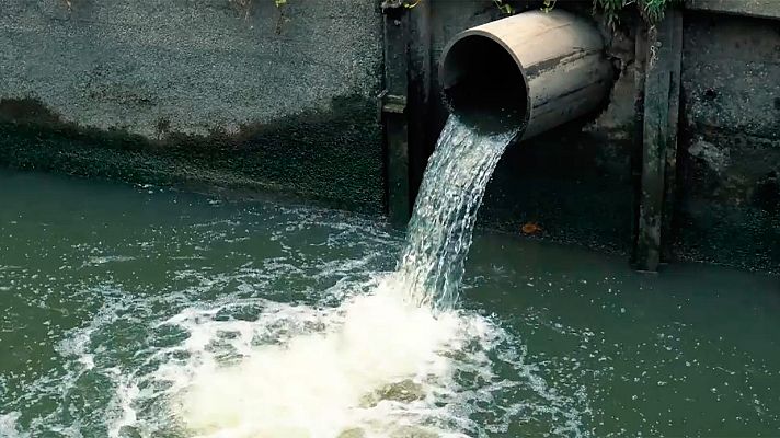 El escarabajo verde - Dos ciudades, dos lecciones, avance